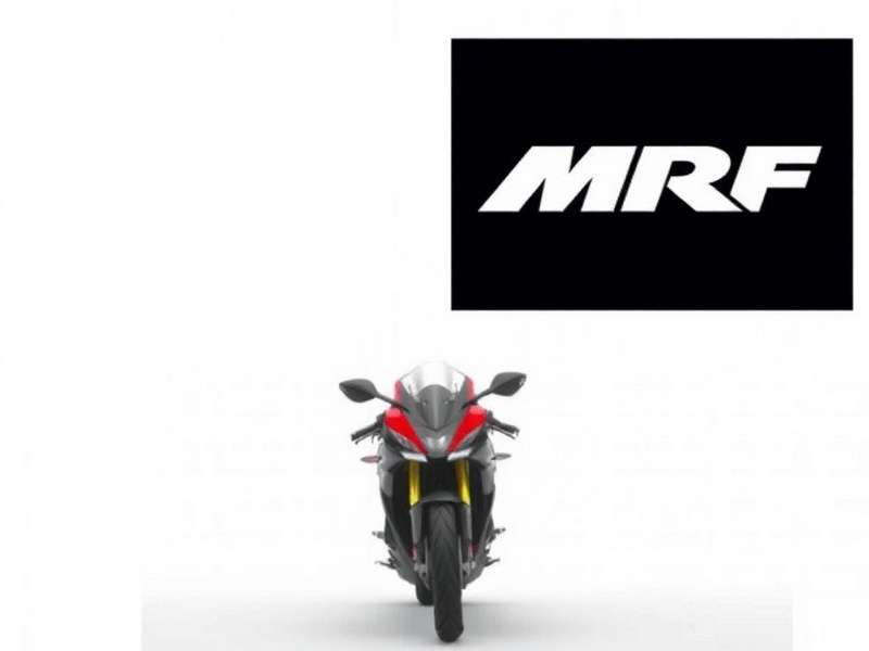 MRF bat used in record-breaking innings